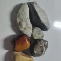 سنگ و گیاه و نور و دماسنج دیجیتال