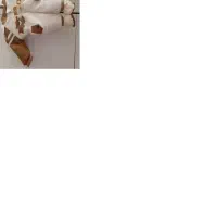 لباس بچه|کفش و لباس بچه|دوگنبدان, |دیوار