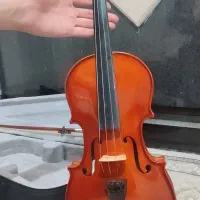 ویولون|ویولن|بوکان, |دیوار