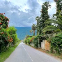 زمین-1800-متری-سند-ششدانگ-مسکونی-در-نوشهر