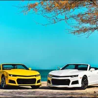 اجاره خودرو|خودرو اجارهای|کیش, |دیوار