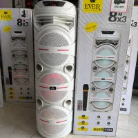 اسپیکر EVER1133(فروشگاه پلاس)