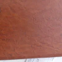 مدارک گمشده مهدی پایون