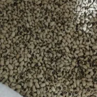 لوبیا چشم بلبلی