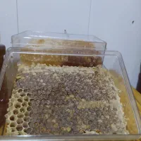 عسل طبیعی  محلی 650