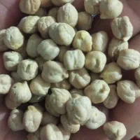 نخود فروش درجه یک