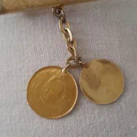 گل سینه احمدشاهی