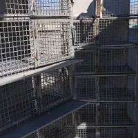 جفت کن کبوتر