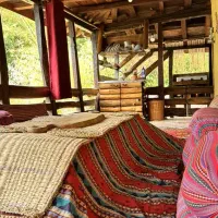 پکیج رهن و اجاره ۴ تا ۱۵ واحد یکجا|اجارهٔ آپارتمان|شیراز, باغ تخت|دیوار