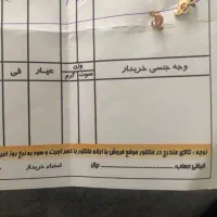 گوشواره میخی