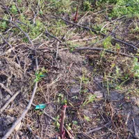 ۲۷ متر مربع سهم زمین مجتمع سیمرغ وزارت کشور