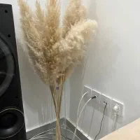 ۱۰شاخه گل همراه با گلدان