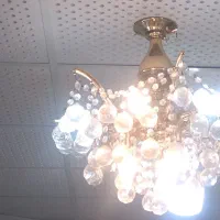 لوسترالماسی|لوستر و چراغ آویز|تربت‌حیدریه, باغ سلطانی|دیوار