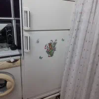 یخچال بالا وپایین بوژان