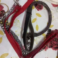 ملزومات نگهداری غلاده و گردن بند سگ