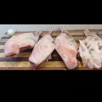 دنبه ، چربی گوساله، خرده گوشت گوساله|خوردنی و آشامیدنی|کرج, گوهردشت|دیوار