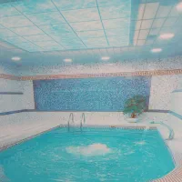 استخر vip خانوادگی