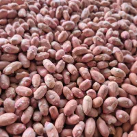 بادام زمینی وکره بادام