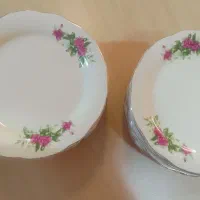 بشقاب میوه خوری طرح گل سرخ|ظروف سرو و پذیرایی|صدرا-فارس, فاز ۱|دیوار