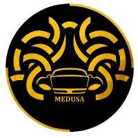 گارگر کارواش ماهر