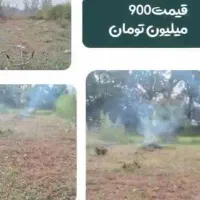 فروش زمین ۲۱۷ متری|فروش زمین و ملک کلنگی|کومله, |دیوار