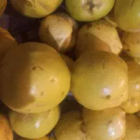 به شیرین و خوش عطر