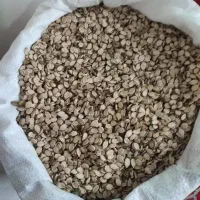 تخمه هندوانه|خوردنی و آشامیدنی|سنگدوین, |دیوار