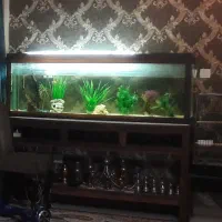 آکواریم سایز بزرگ زیر قیمت فووری