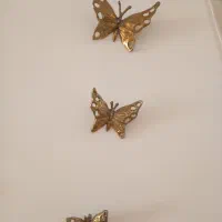 پروانه برنز