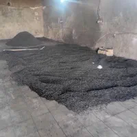 کار در کارگاه زغال پاکدشت