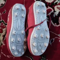 یک جفت کفش استوک دار
