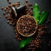 دان قهوه عربیکا روبوستا عمده - اقساطی و چکی