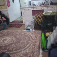 خانه ویلایی اجاره ای