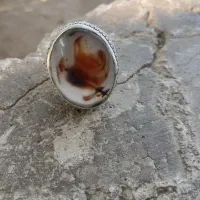 شجر|جواهرات|بیرجند, |دیوار