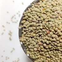 حبوبات تازه و روستایی نخود،لوبیا عدس خرده و عمده|خوردنی و آشامیدنی|تهران, پونک|دیوار