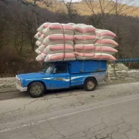 خرید وفروش کاه گندم ولوبیا