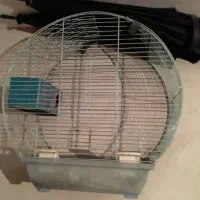 قفس معاوضه با سهره|لوازم جانبی حیوانات|کوهدشت, |دیوار