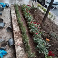 خدمات‌باغبانی‌در‌‌‌سراسر‌تهران|خدمات باغبانی و درختکاری|تهران, سهروردی|دیوار