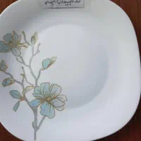 سرویس آرکوپال|ظروف سرو و پذیرایی|اردبیل, |دیوار