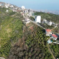 فروش زمین اربه کله( گاو لیماک)