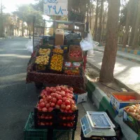 موتور سه چرخ|موتورسیکلت|سبزوار, جوادیه شرقی|دیوار