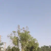فروش زمین ۴۰۰۰ متری سند دار تک برگی چهار دیواری|فروش زمین و ملک کلنگی|کوهسار (البرز), |دیوار