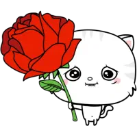 کار در خانه