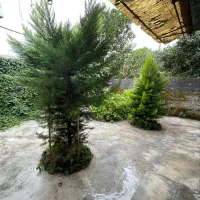 خونه کلنگی قابله استفاده فقط پو*ل زمین بده/نور|فروش زمین و ملک کلنگی|رامسر, |دیوار