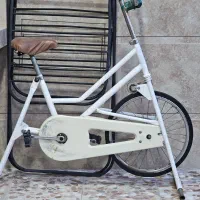 دوچرخه ثابت ورزشی