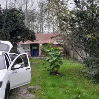 سوئیت دوخوابه و خونه سنتی تا ۳نفر ۳۵۰|اجارهٔ کوتاهمدت آپارتمان و سوئیت|ماسال, |دیوار