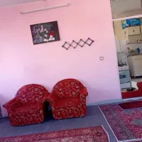 سوئیت روزانه هفتگی ماهانه