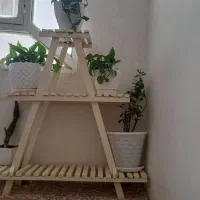 پایه گل سالم