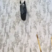 تابلو و دیوار کوب|تابلو، نقاشی، عکس|مشهد, سپاد|دیوار