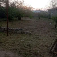 فروش زمین ۳۰۰ متری در بازار